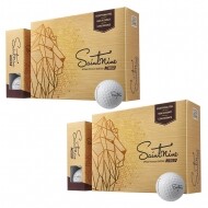 [넥센] 세인트나인 N Gold 4피스 2더즌 세트GF