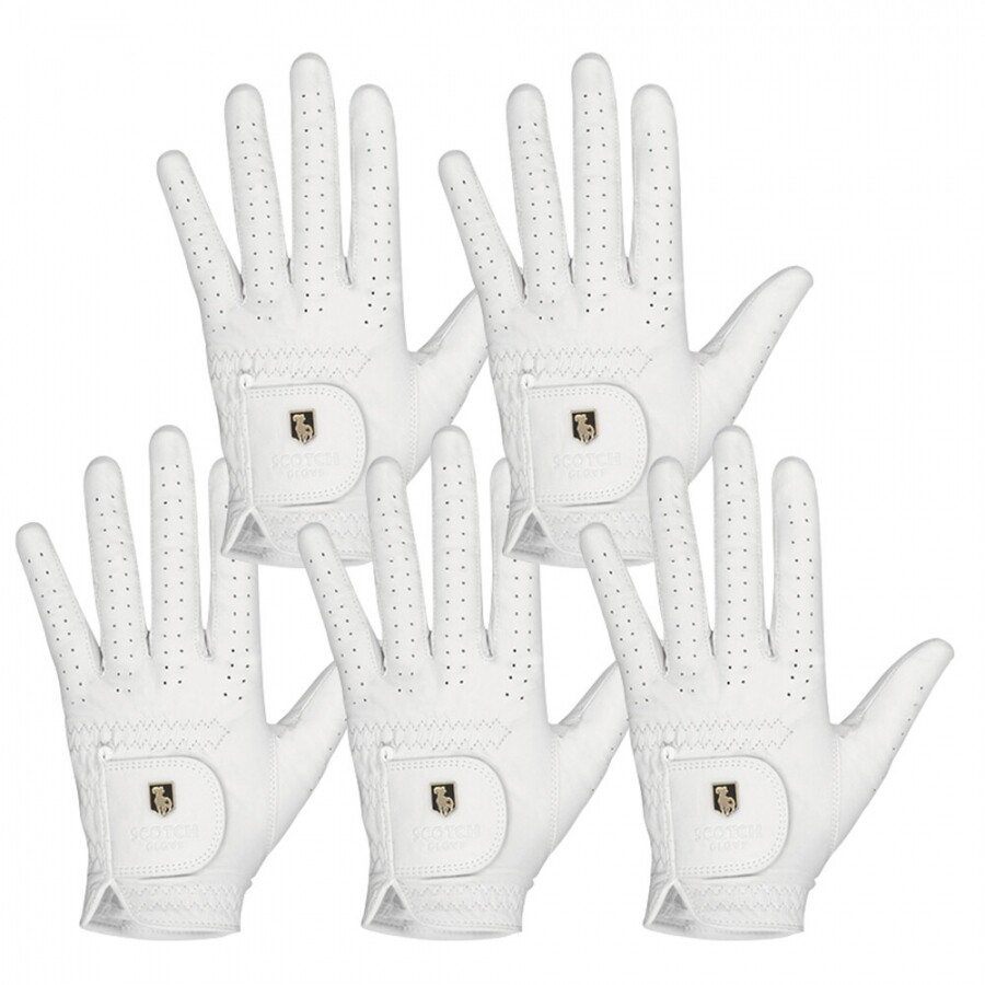 [범양글러브정품]스카치 천연양피 골프장갑 남성용 왼손 5장 세트 GF