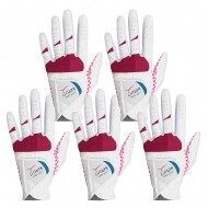 [범양글러브정품]지맥스 파크골프 플러스 장갑 여성용 양손 5장 세트 GF