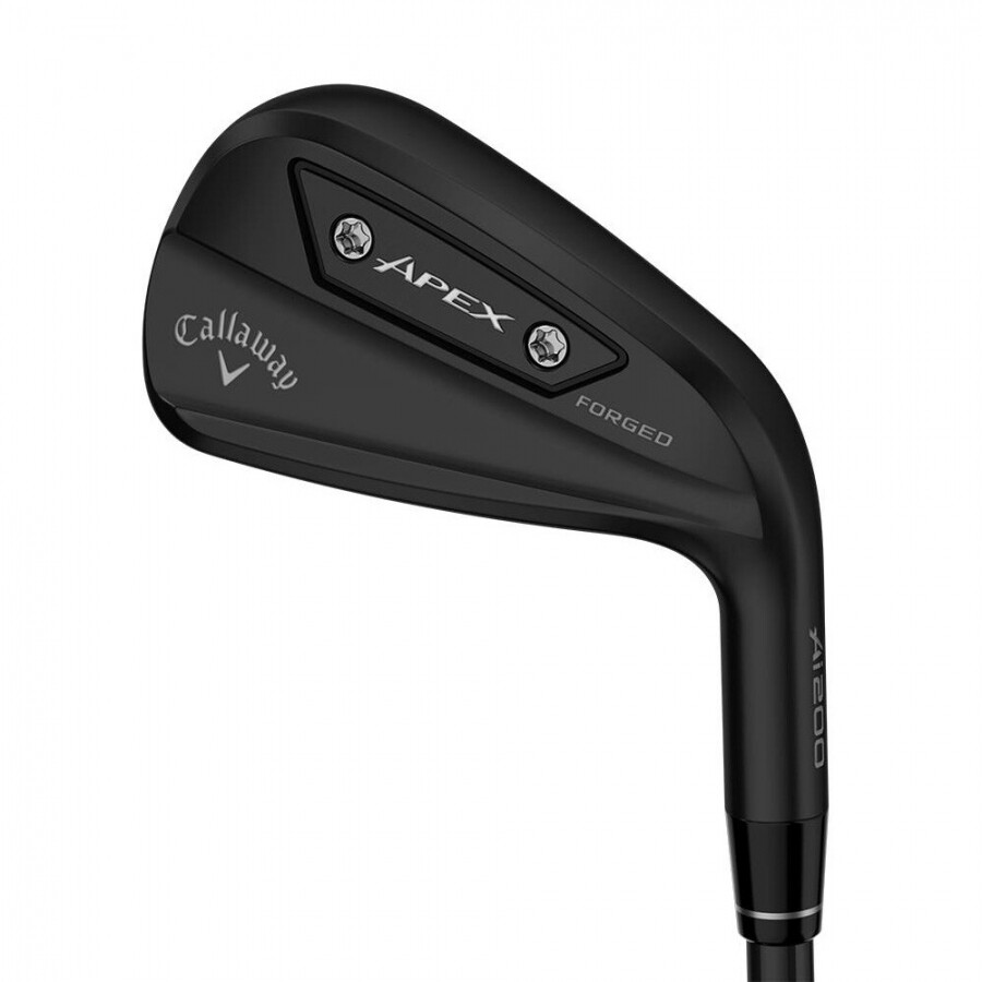 한국캘러웨이골프 캘러웨이 APEX AI200 BLACK 6i(#5-P) 남성용 아이언세트 GF